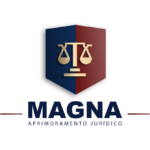 Magna Cursos